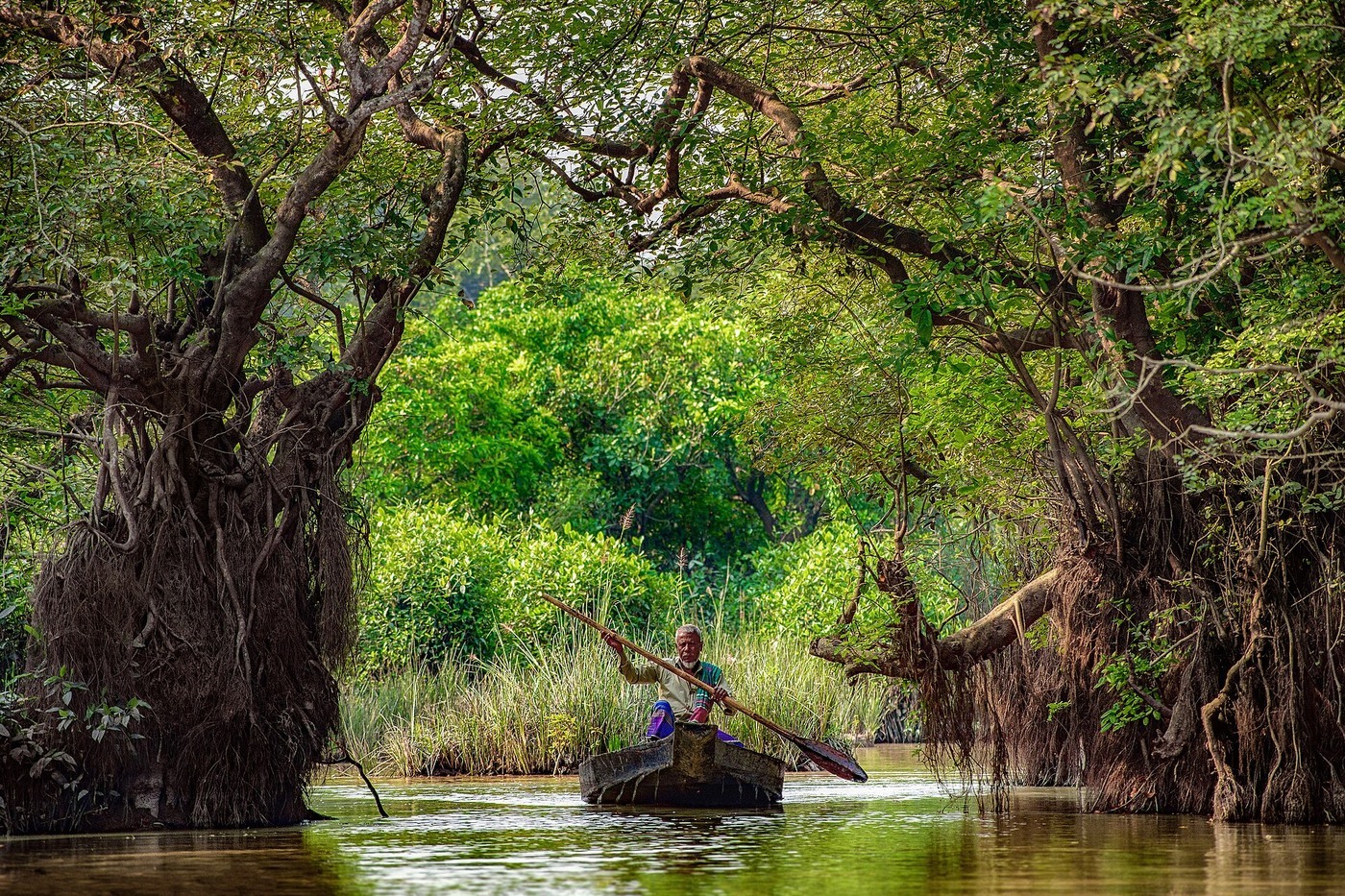 Відновлення водно-болотних угідь: вода, торф і повернення природних видів